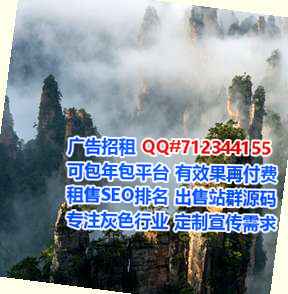 肃州代妈节能公司